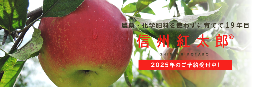 2025年信州紅太郎ご予約受付中