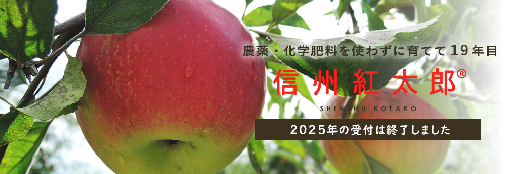 2025NMBgYt͏I܂